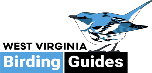 West Virginia Birding Guides
